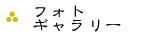 フォトギャラリー